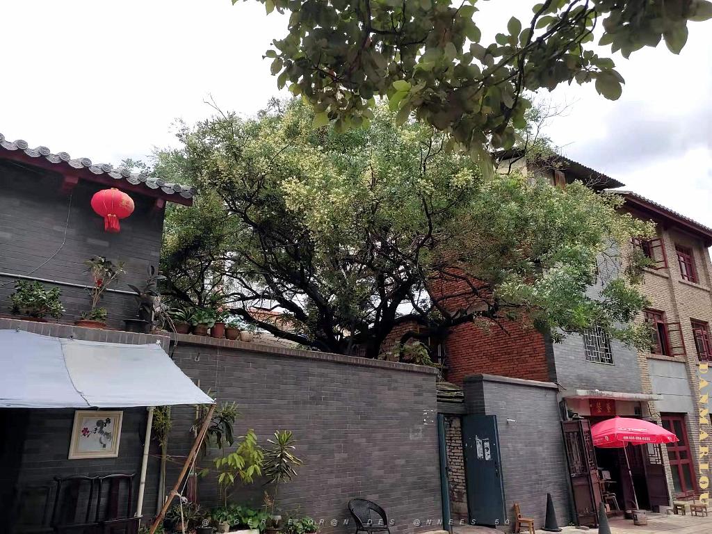 KUNMING - Le Vieux Quartier - 003.jpg
